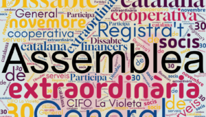 Convocatòria d’Assemblea General extraordinària de socis i sòcies – 30 de novembre de 2024
